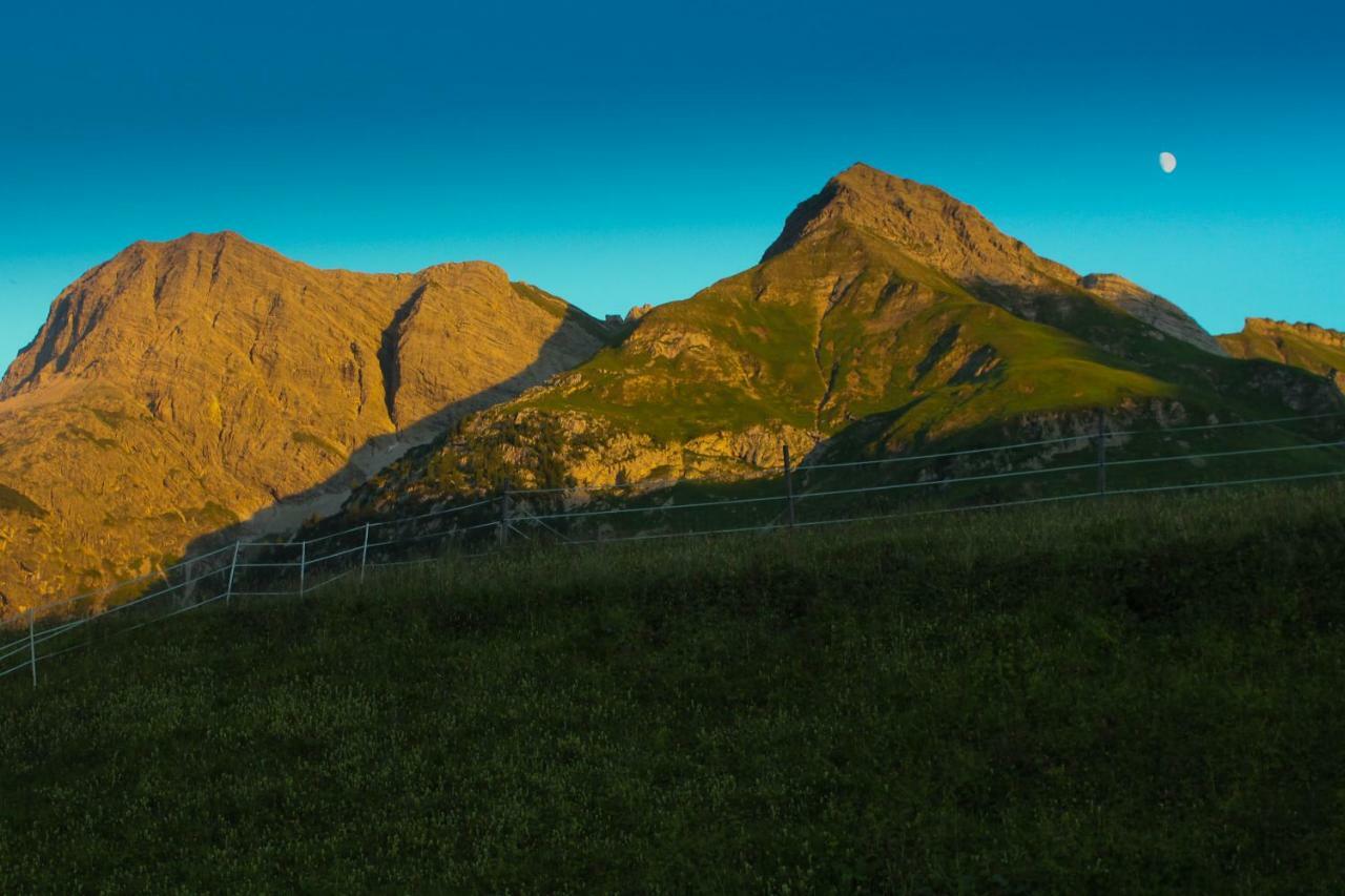 Alpenappartement Bergkoenig Warth  Eksteriør billede